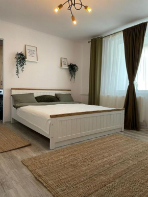 Carol Apartament's